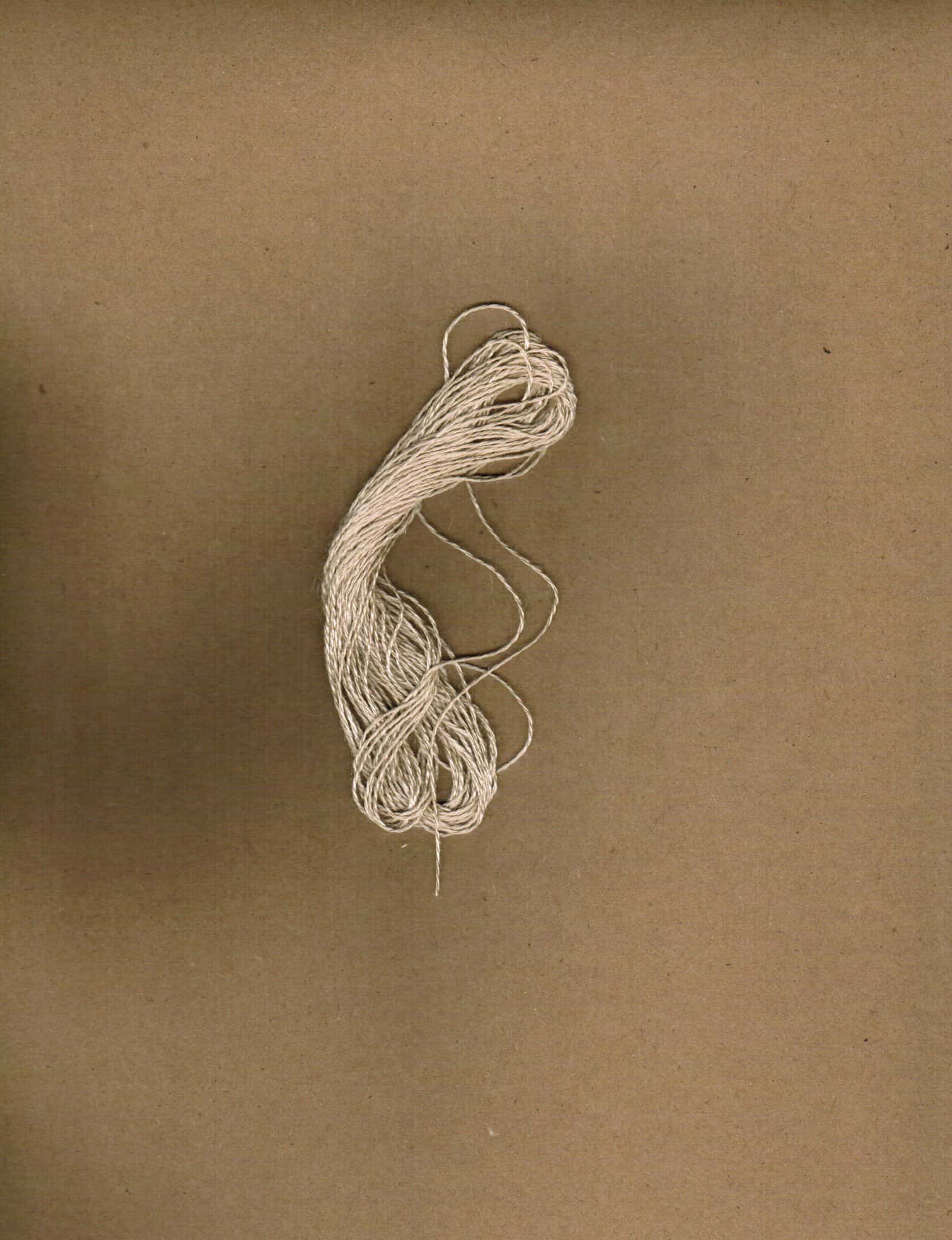 Tussah Silk 20/2-image