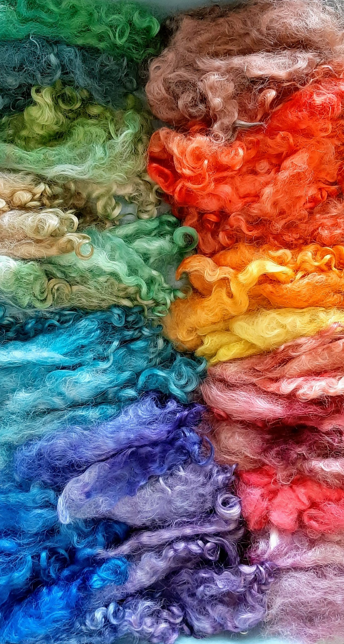 Hand Dyed Lincoln Locks-image