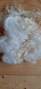 Lincoln Finn Romney - Maggie-image